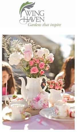 Beautiful pink and white floral centerpiece at Wing Haven Garden & Bird Sanctuary tea event.