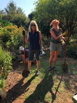 McGill Rose Garden Work Day - August 05, 2020
