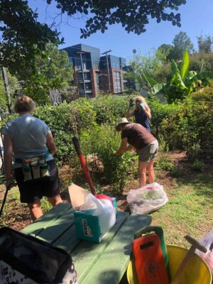 McGill Rose Garden Work Day - August 05, 2020
