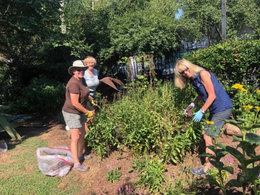 McGill Rose Garden Work Day - August 05, 2020