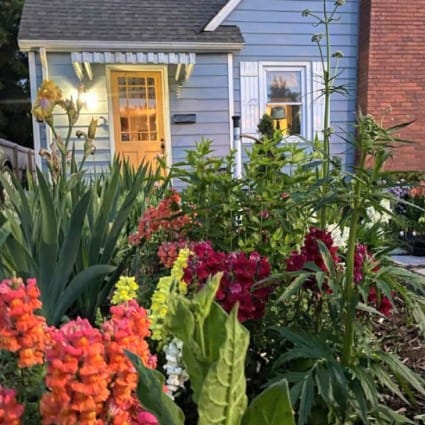 Beautiful garden scene featuring vibrant flowers and lush greenery in front of a cozy blue house.