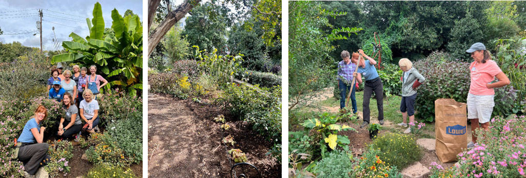 Garden volunteers planting and maintaining flowers at McGill Garden.