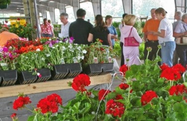Volunteer gardening at Charlotte Farmer's Market on Yorkmont Rd.