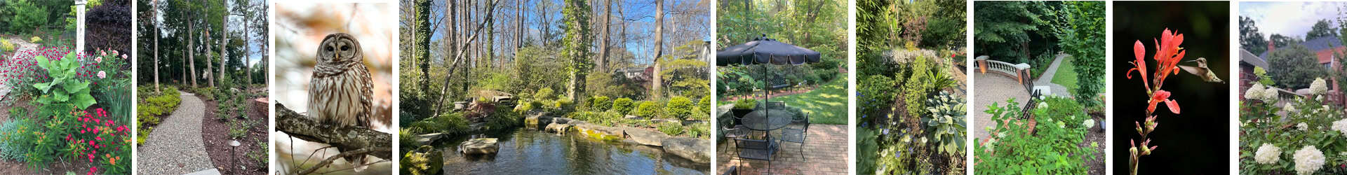 Category: <span>Art in the Garden</span>