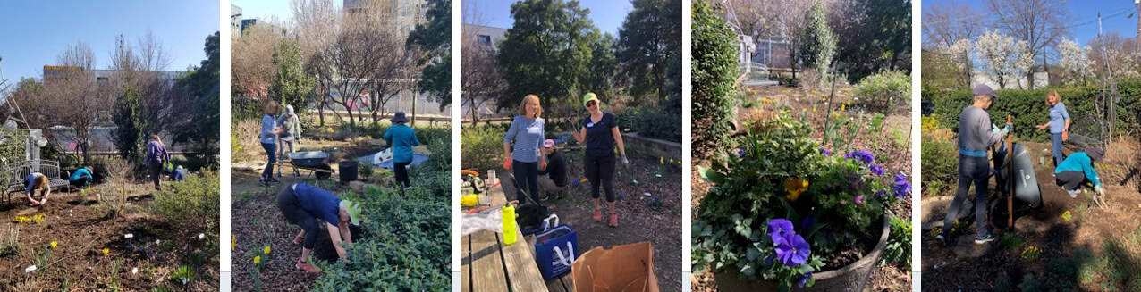 Garden workday with members planting and maintaining the garden.