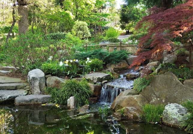Beautiful garden with a small waterfall and lush greenery.