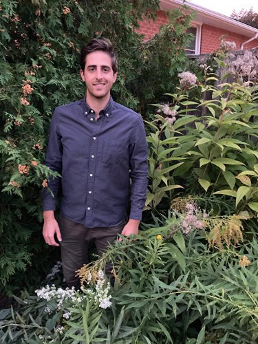 Stormwater issues and dry creek beds in Charlotte gardens.