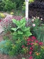 Beautiful garden with colorful flowers and lush greenery at Charlotte Garden Club.