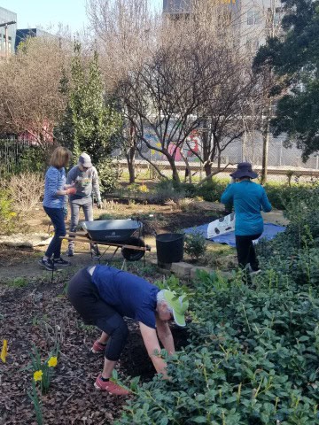 People planting flowers and tending to garden beds outdoors.