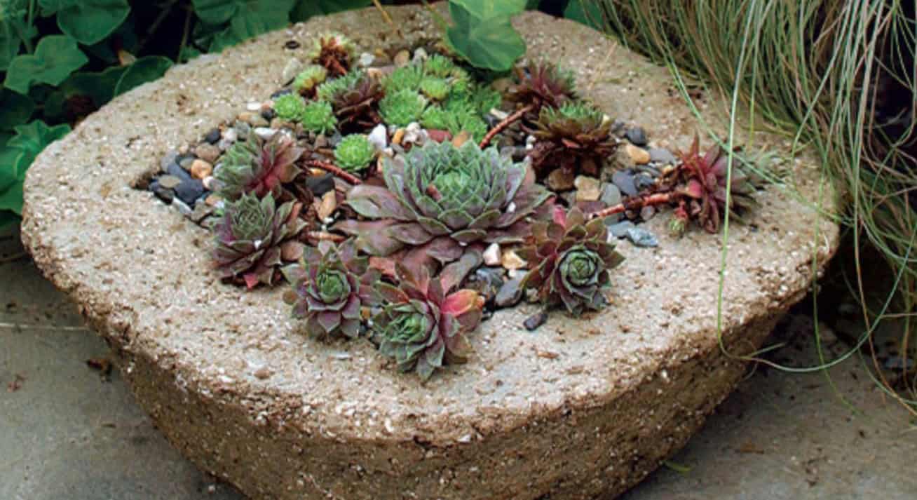 Handmade hypertufa planter with succulents for garden decor.