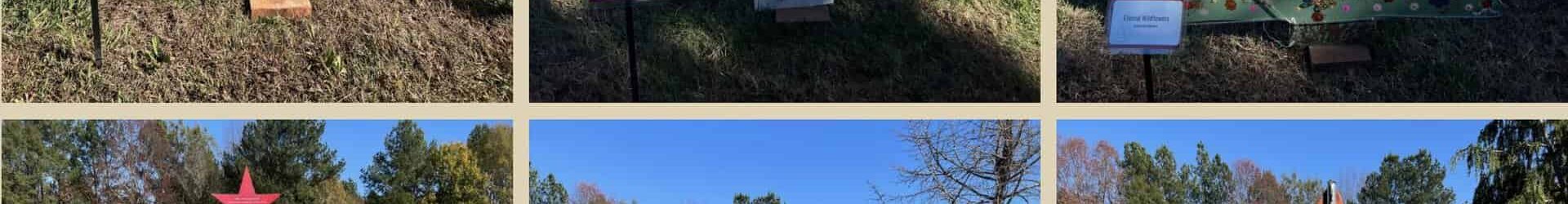 Join Us! Decorate a Tree for the Holidays