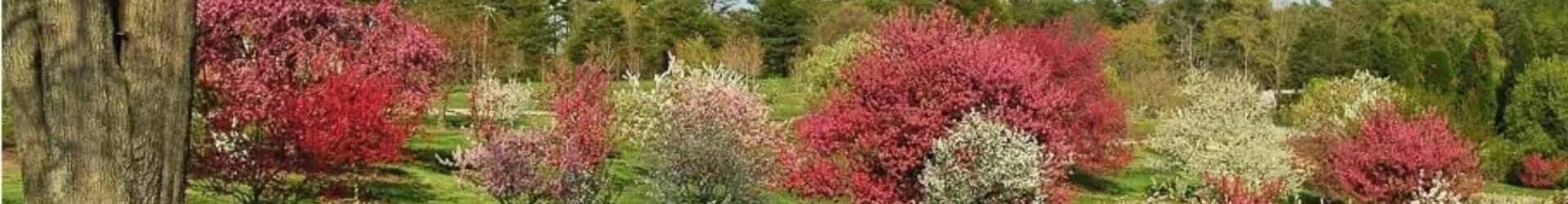 Bartlett Guided Tour