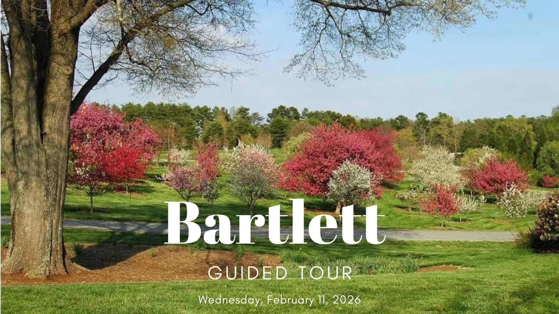 Scenic view of blooming trees during Bartlett Guided Tour event.